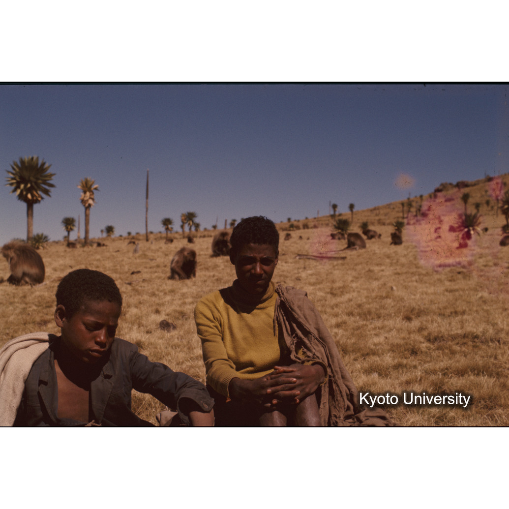 Sm　1973　1457 (1)