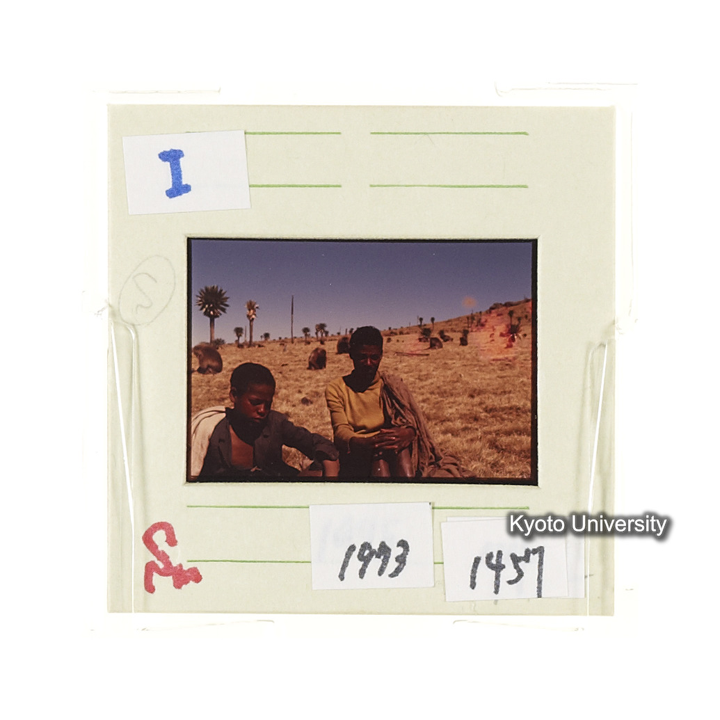 Sm　1973　1457 (2)