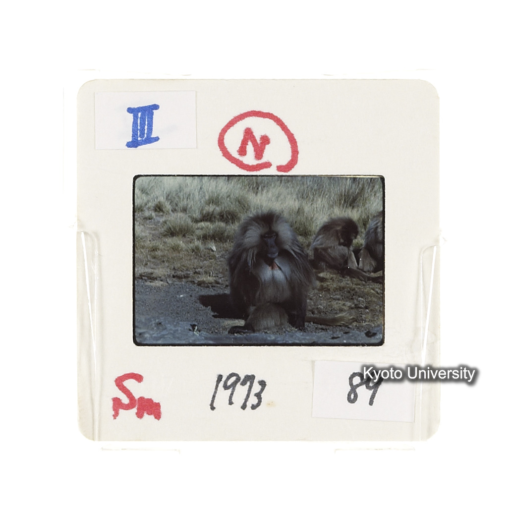 Sm　1973　89　（N）[赤色, 丸囲み] (2)