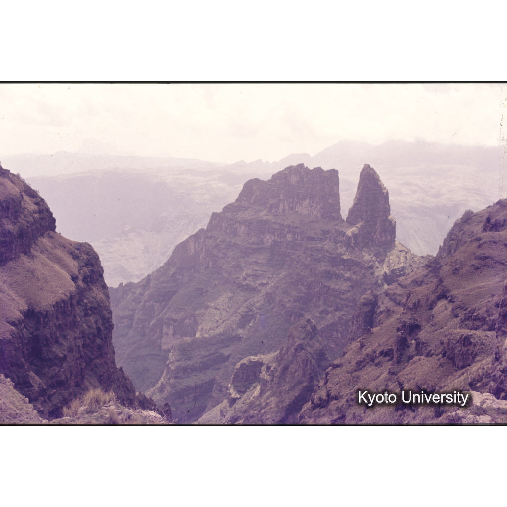 Sm　1973　R72　●[赤色シール] (1)