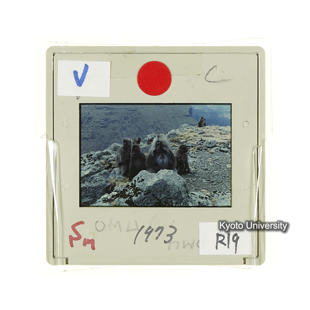 Sm　1973　R19　●[赤色シール] (2)