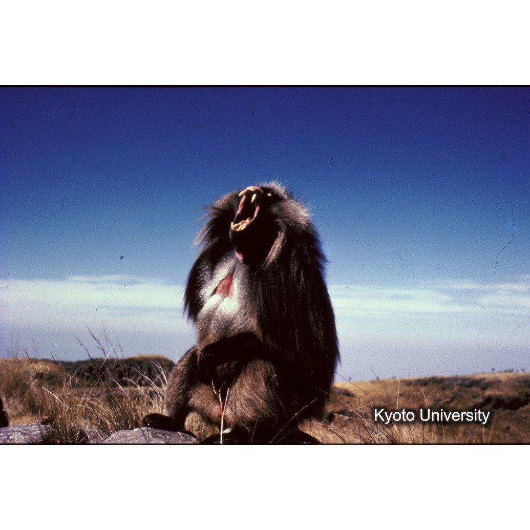 Sm　1973　R22　●[赤色シール] (1)