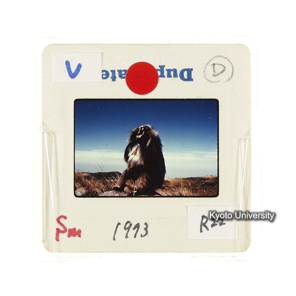 Sm　1973　R22　●[赤色シール] (2)