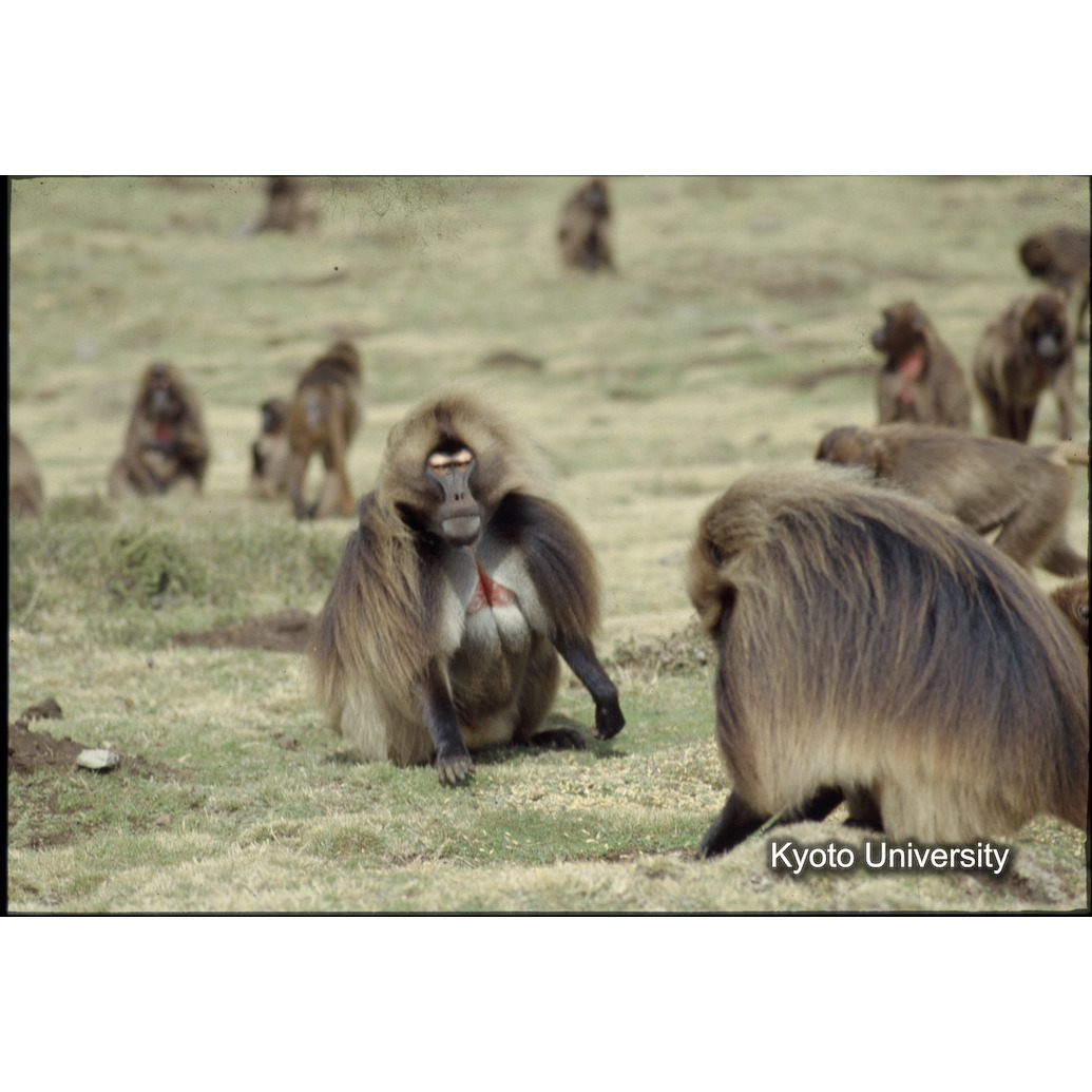 Sm　1973　R23　●[赤色シール] (1)