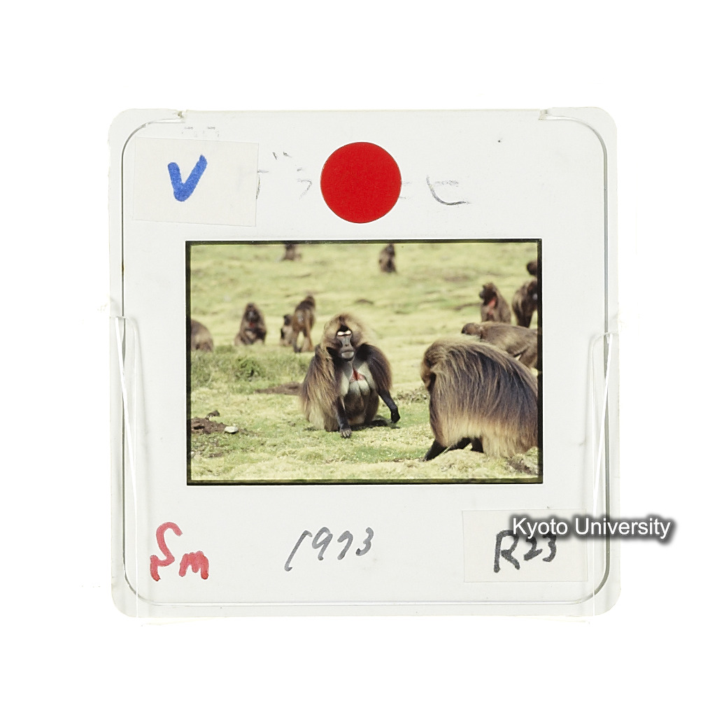 Sm　1973　R23　●[赤色シール] (2)