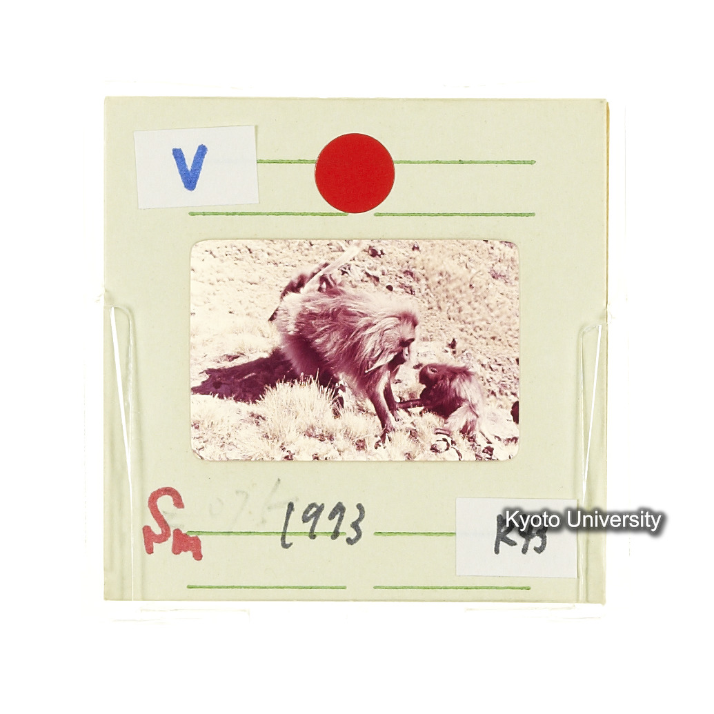 Sm　1973　R43　●[赤色シール] (2)