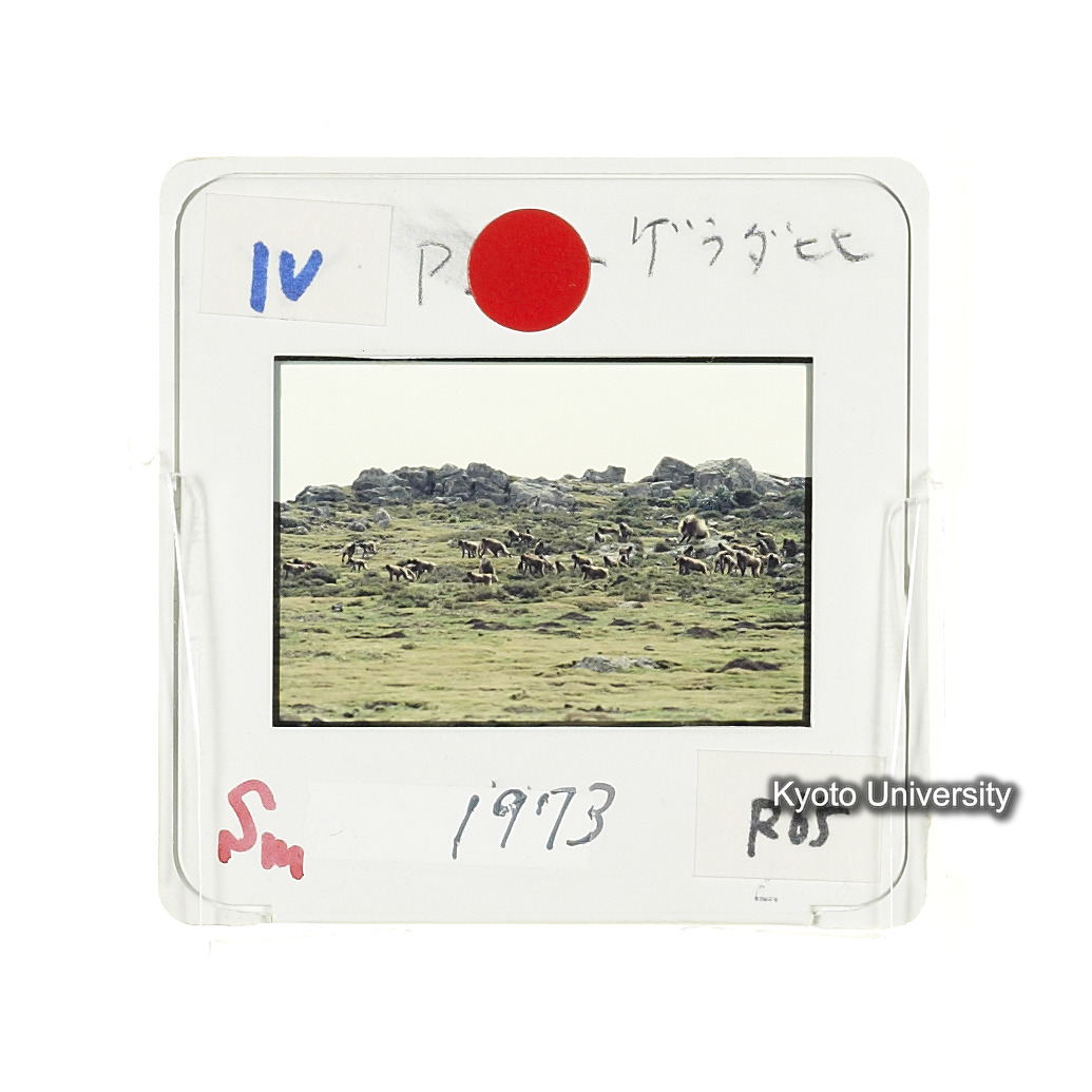 Sm　1973　R65　●[赤色シール] (2)