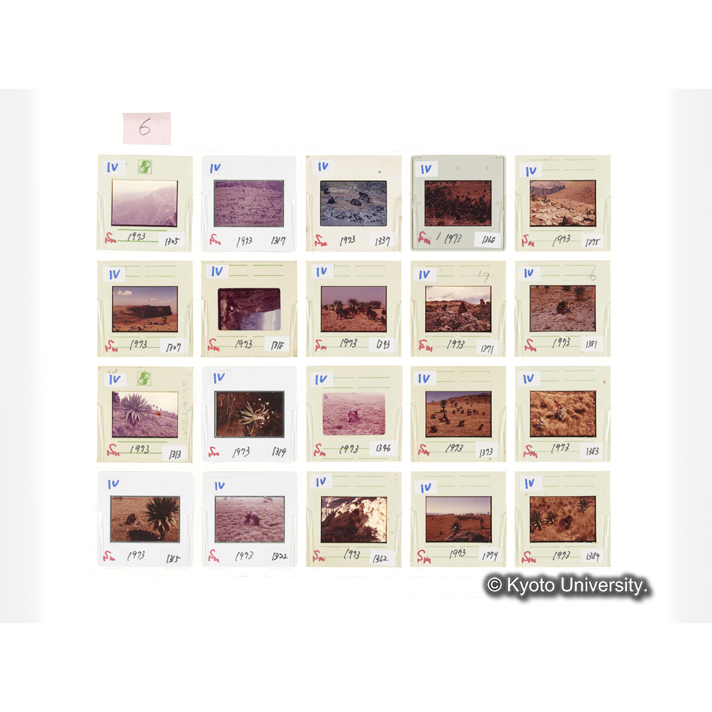 [スライドシート] 6 (1)