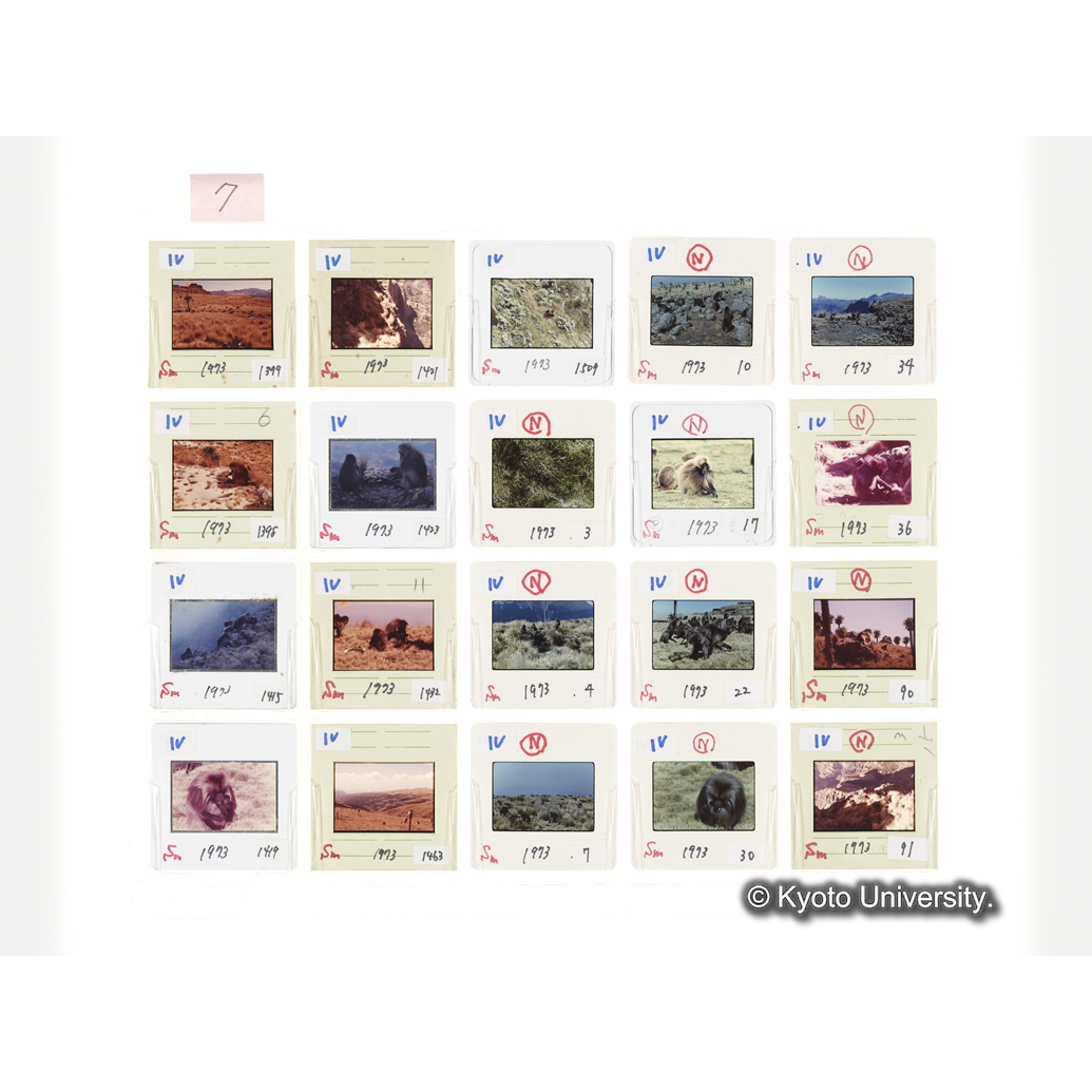 [スライドシート] 7 (1)