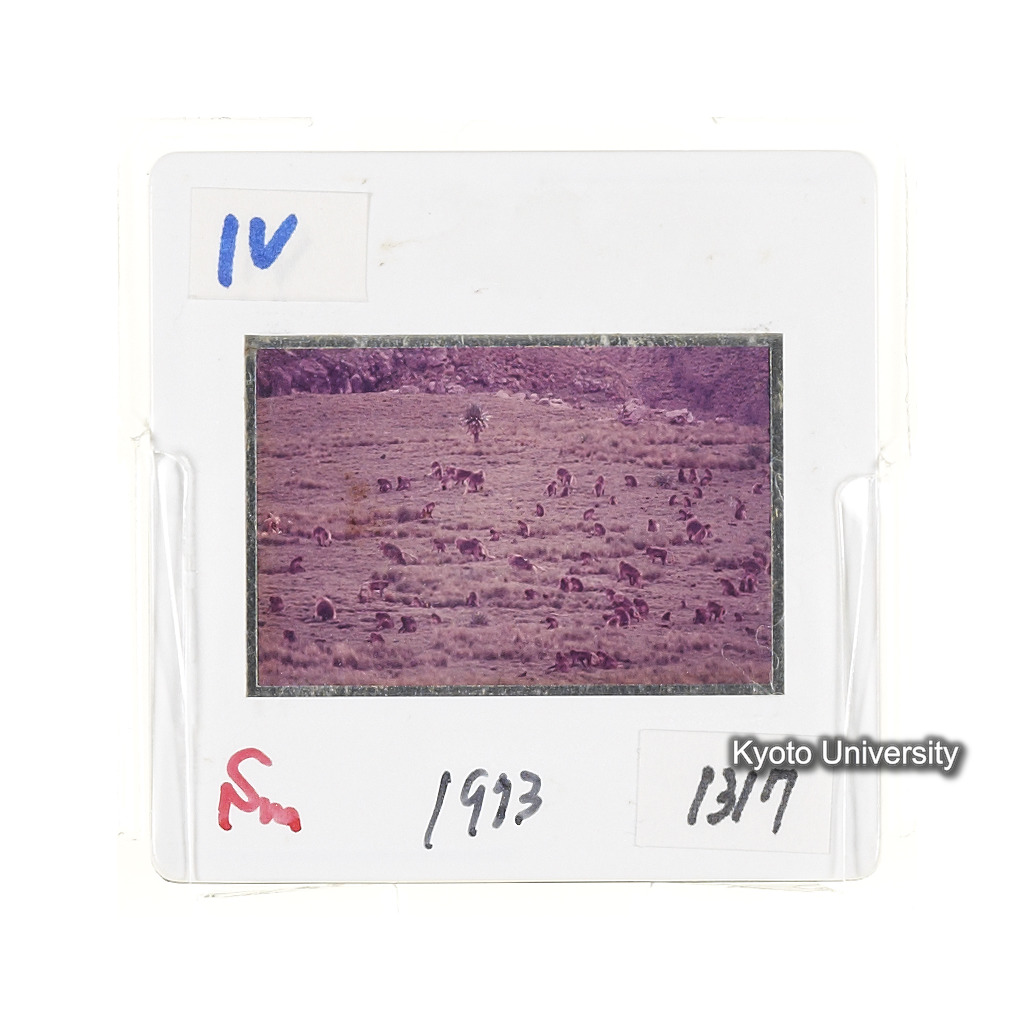 Sm　1973　1317 (2)