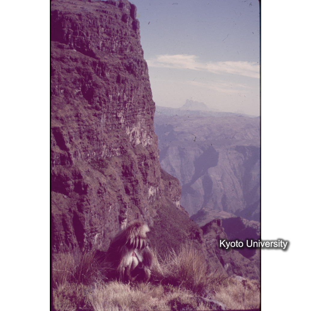 Sm　1973　1318 (1)