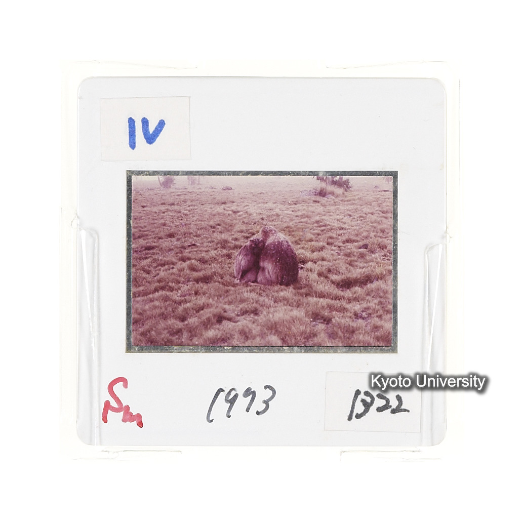 Sm　1973　1322 (2)