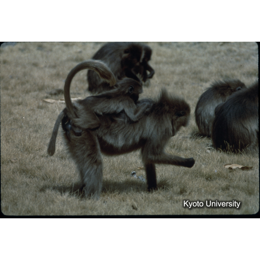 Sm　1973　1502 (1)