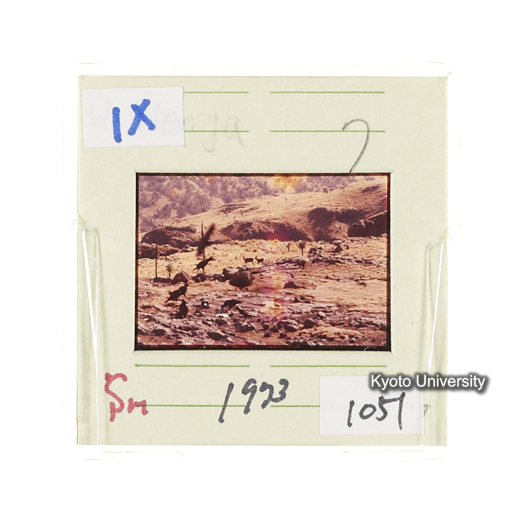 Sm　1973　1051 (2)