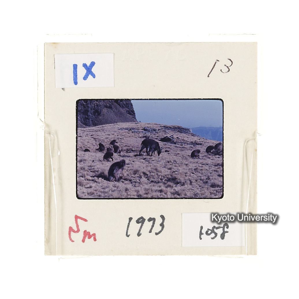 Sm　1973　1058 (2)