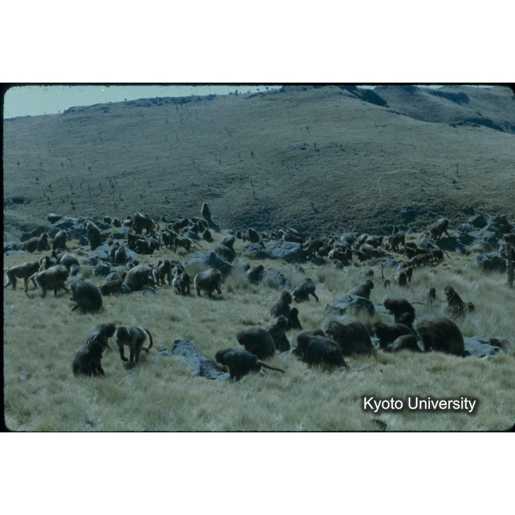 Sm　1973　1530 (1)