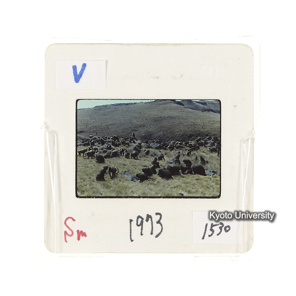 Sm　1973　1530 (2)