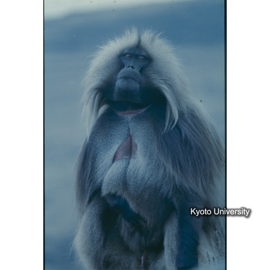 Sm　1973　1533 (1)