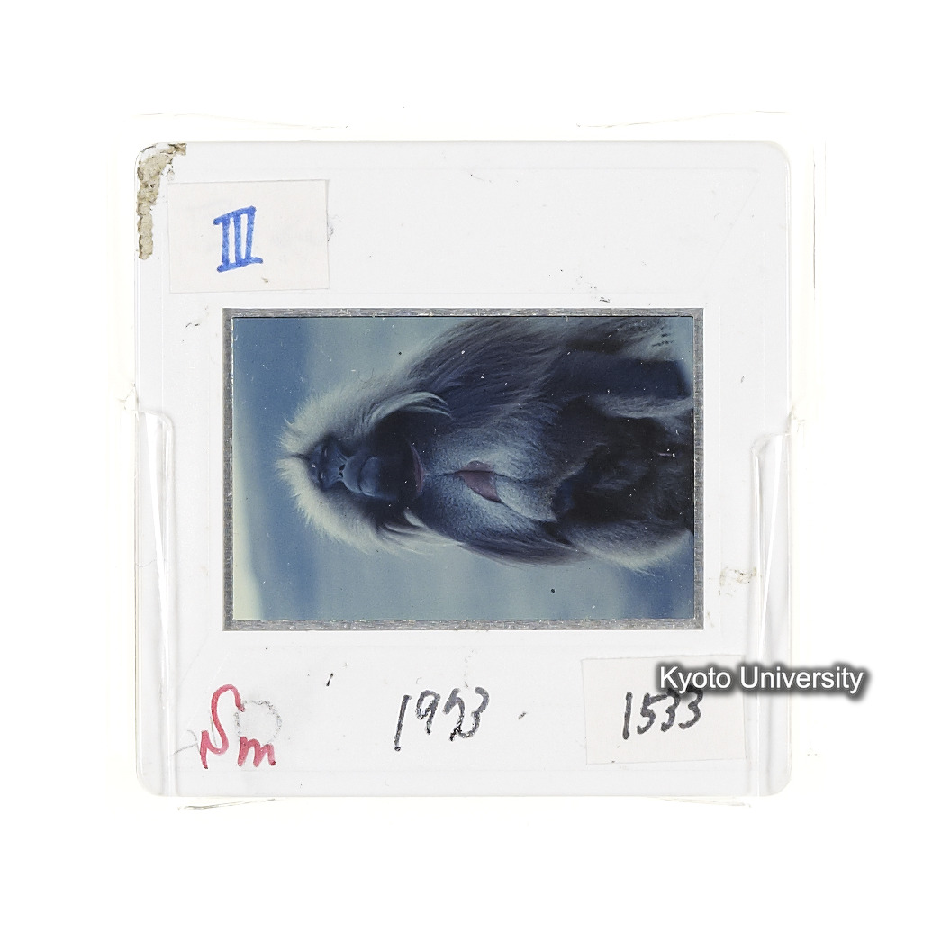 Sm　1973　1533 (2)