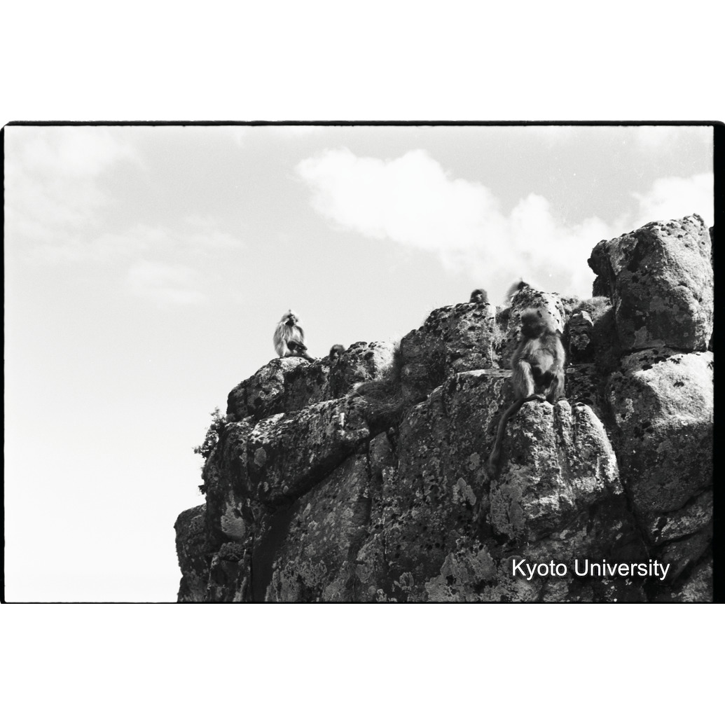 [１４コマ目]「ユニットの休息（2)」 (1)