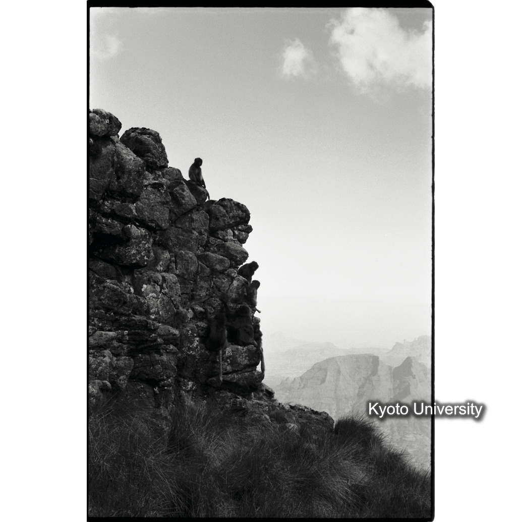 [１６コマ目]「崖での休息（２）」 (1)