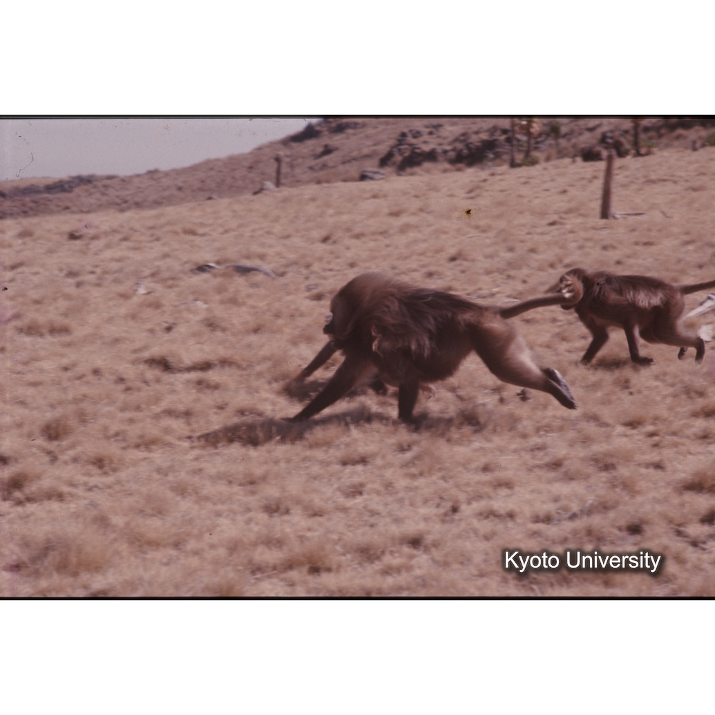 Sm　1973　1370 (1)