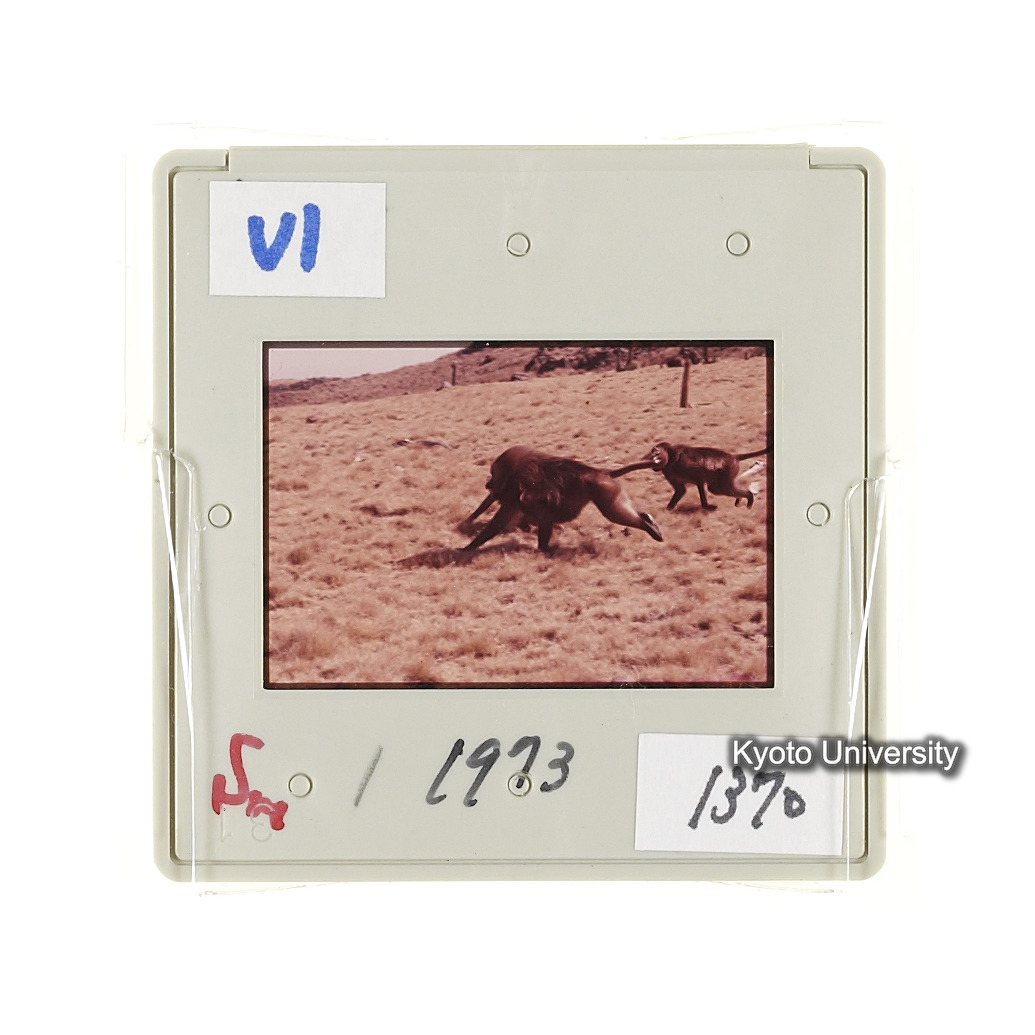 Sm　1973　1370 (2)