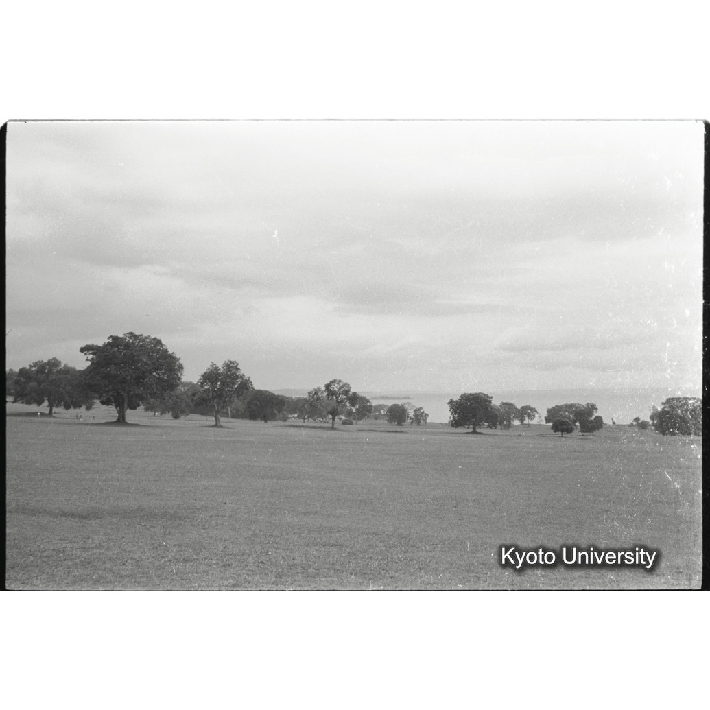 [13コマ目]「エドワード湖畔の公園（１）」 (1)