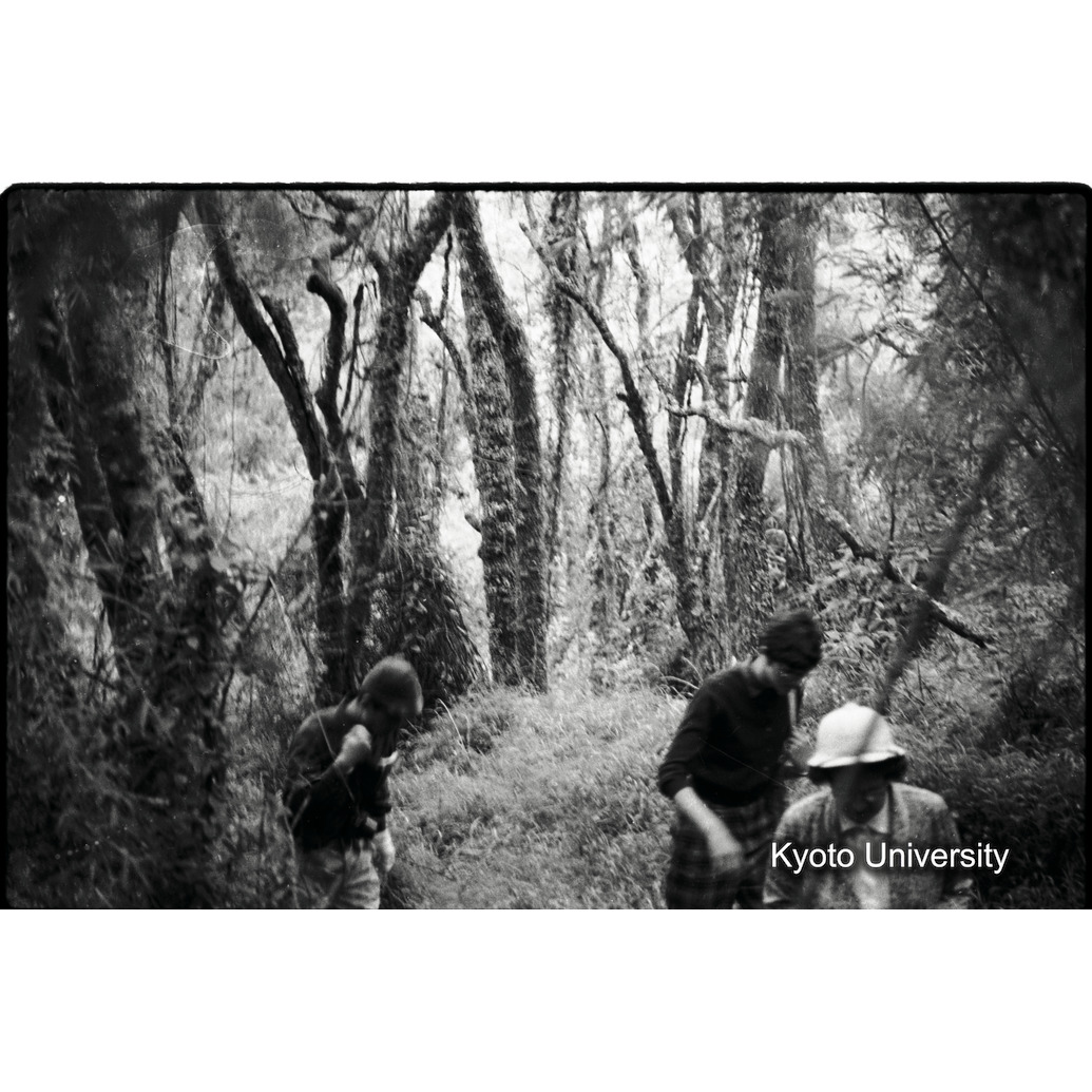 [2コマ目]「モスフォレスト」 (1)