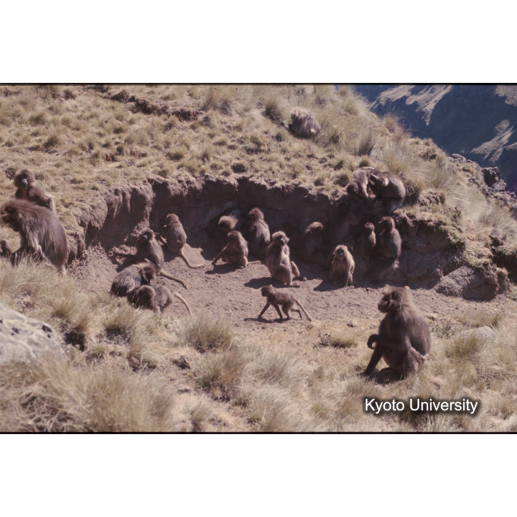 Sm　1973　1251 (1)