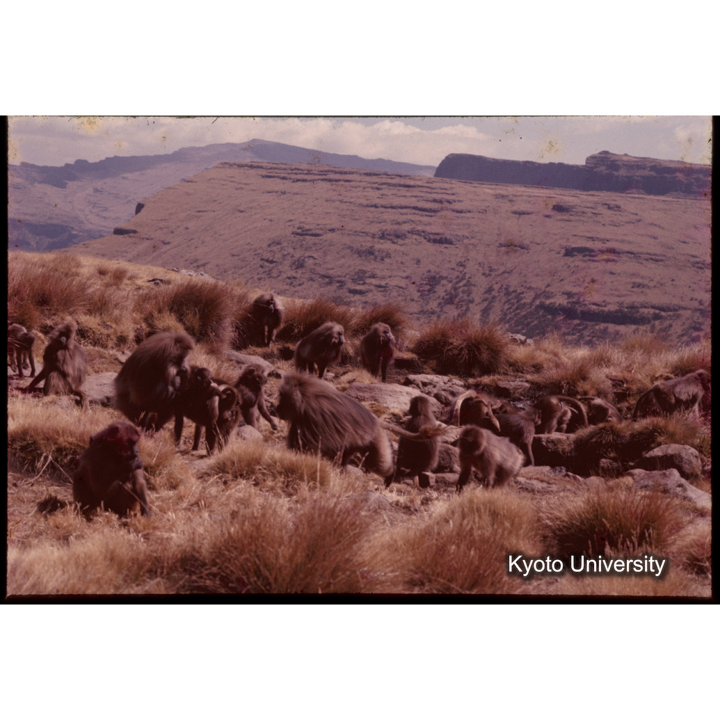 Sm　1973　1347 (1)