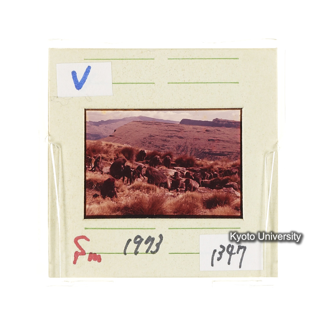 Sm　1973　1347 (2)