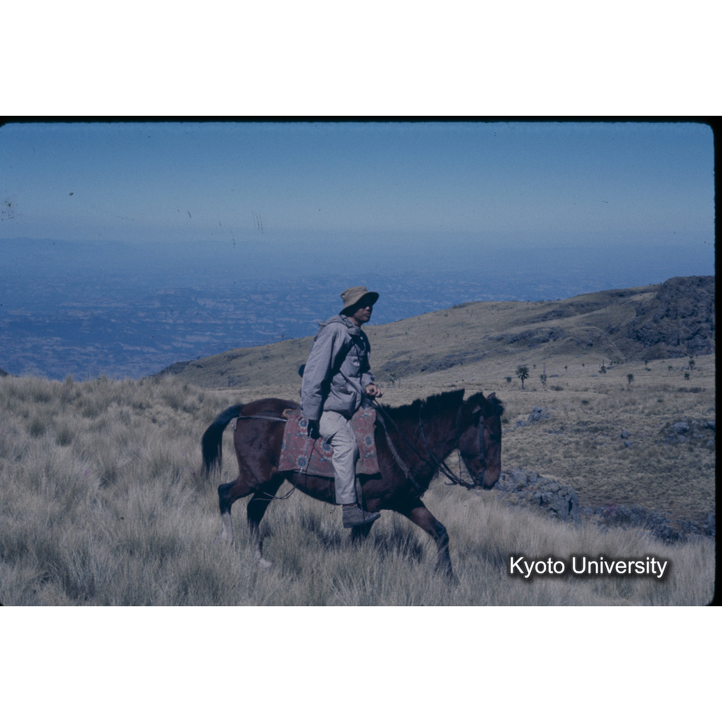 Sm　1973　1535 (1)