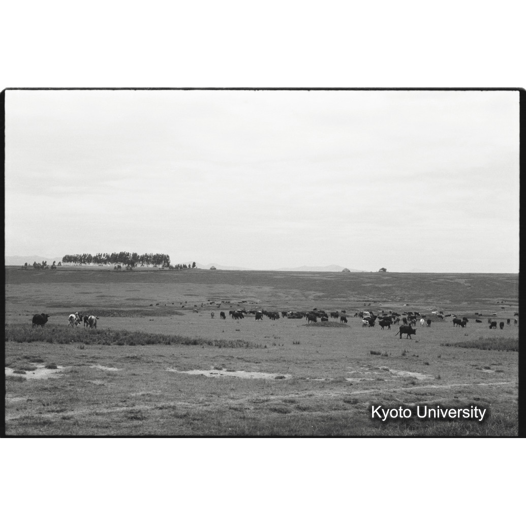 [３０コマ目]「×」 (1)