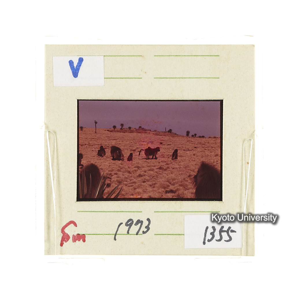 Sm　1973　1355 (2)