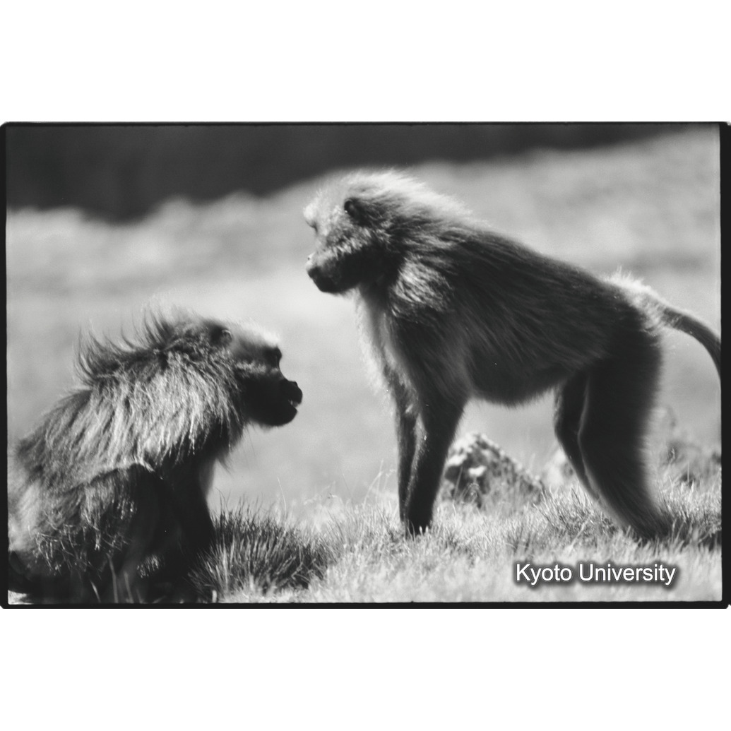 [３０コマ目]「×」 (1)