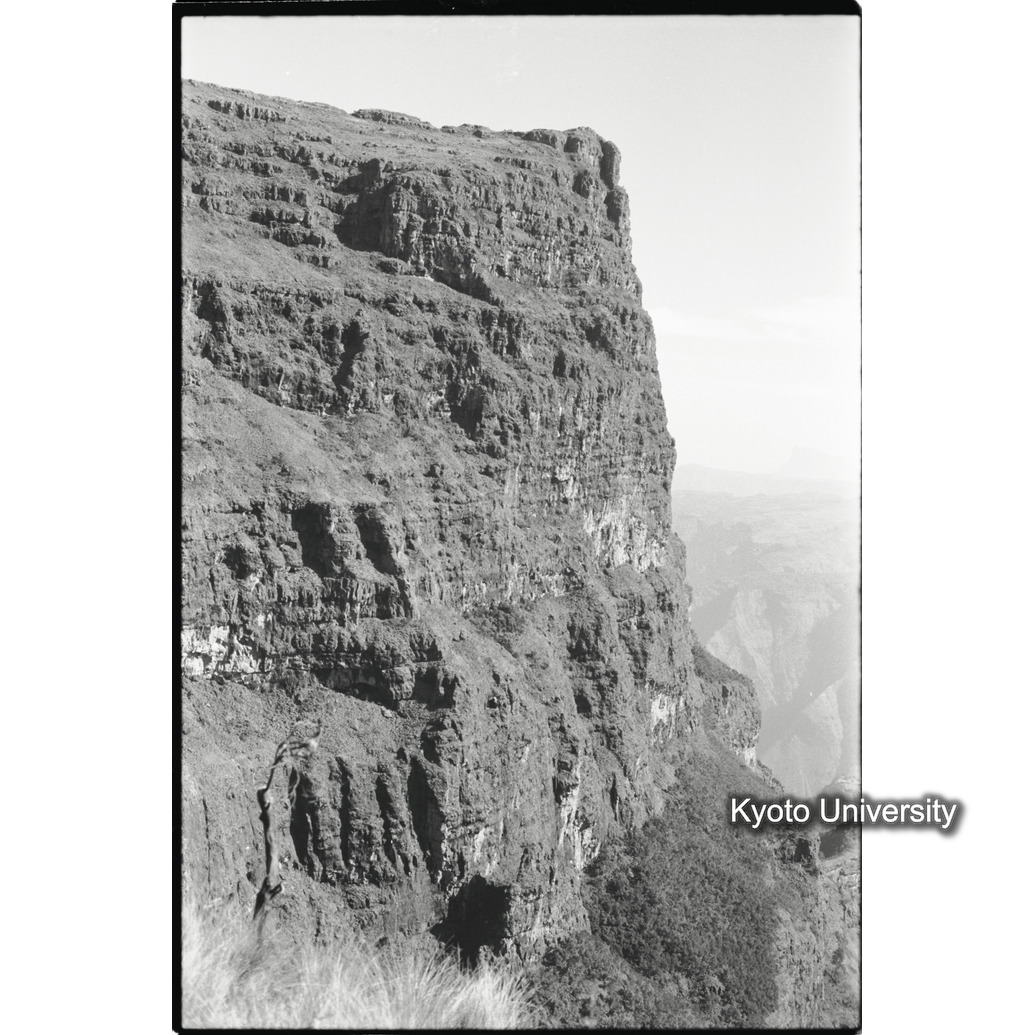 [２６コマ目]「エミエットゴゴの崖」 (1)