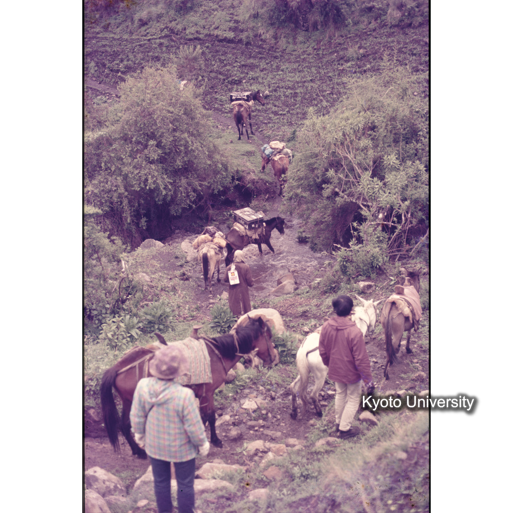 Sm　1973　1161 (1)