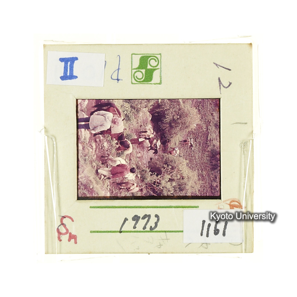 Sm　1973　1161 (2)