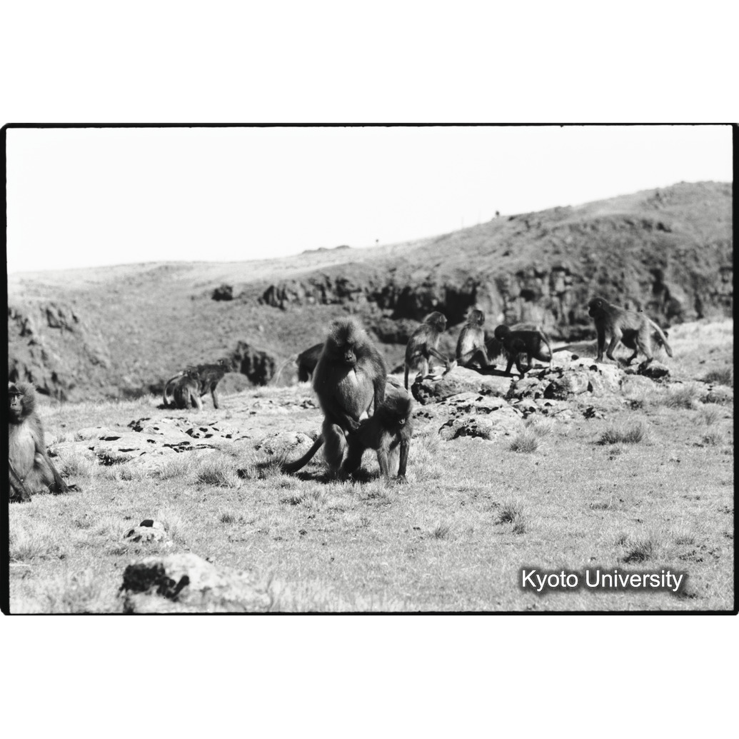 [６コマ目]「あそび（３）」 (1)