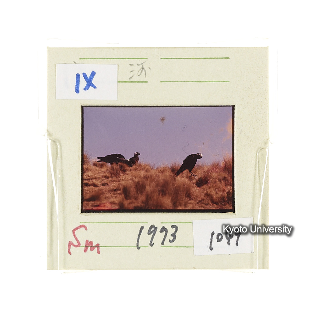 Sm　1973　1049 (2)