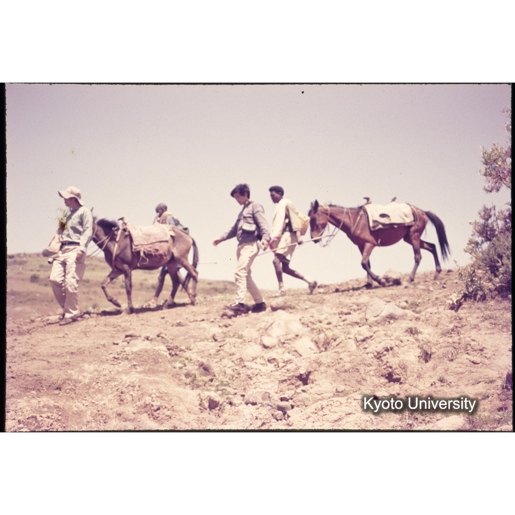 Sm　1973　1453 (1)