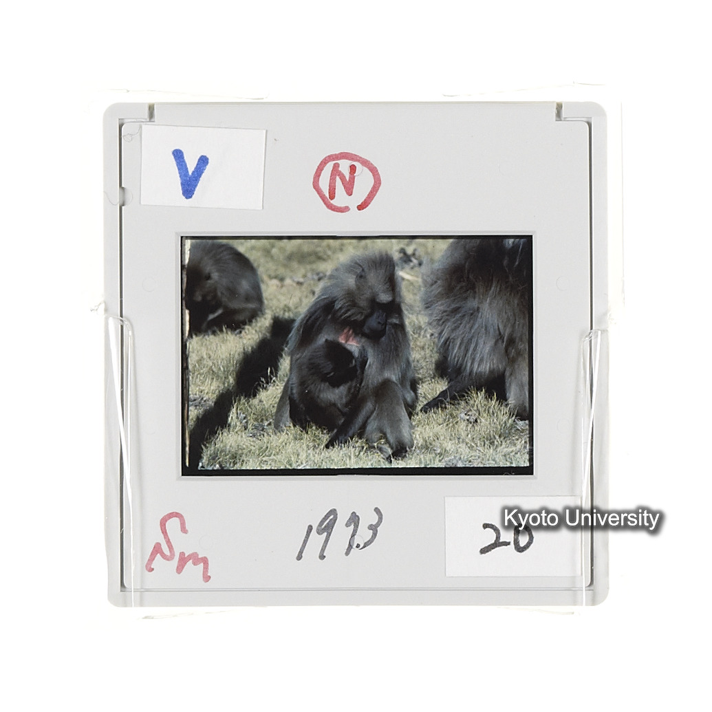 Sm　1973　20　（N）[赤色, 丸囲み] (2)