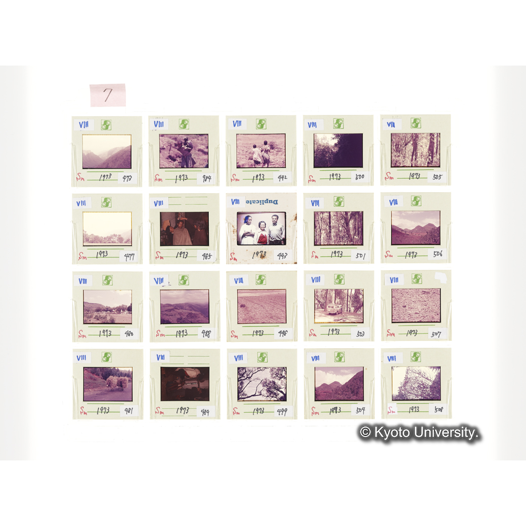 [スライドシート] 7 (1)