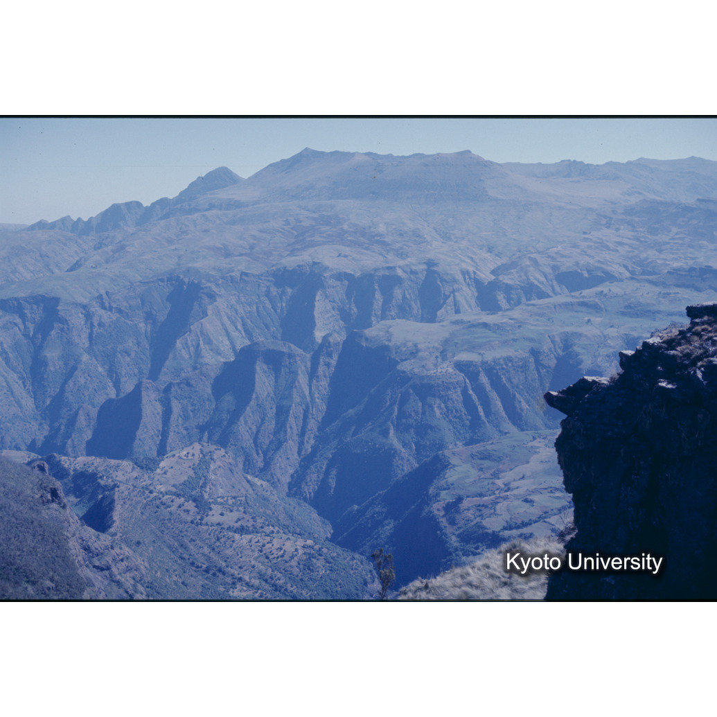 Sm　1973　R41　●[赤色シール] (1)