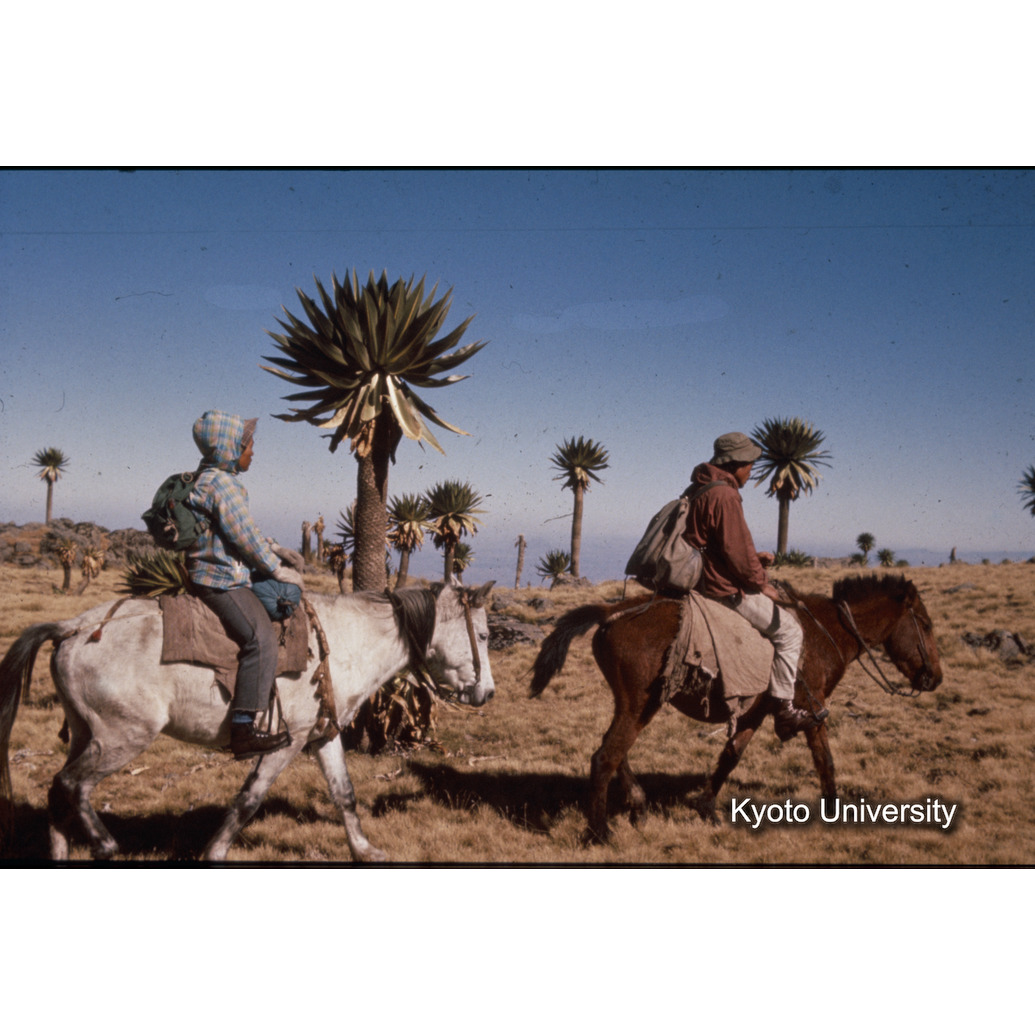 Sm　1973　R5　●[赤色シール] (1)