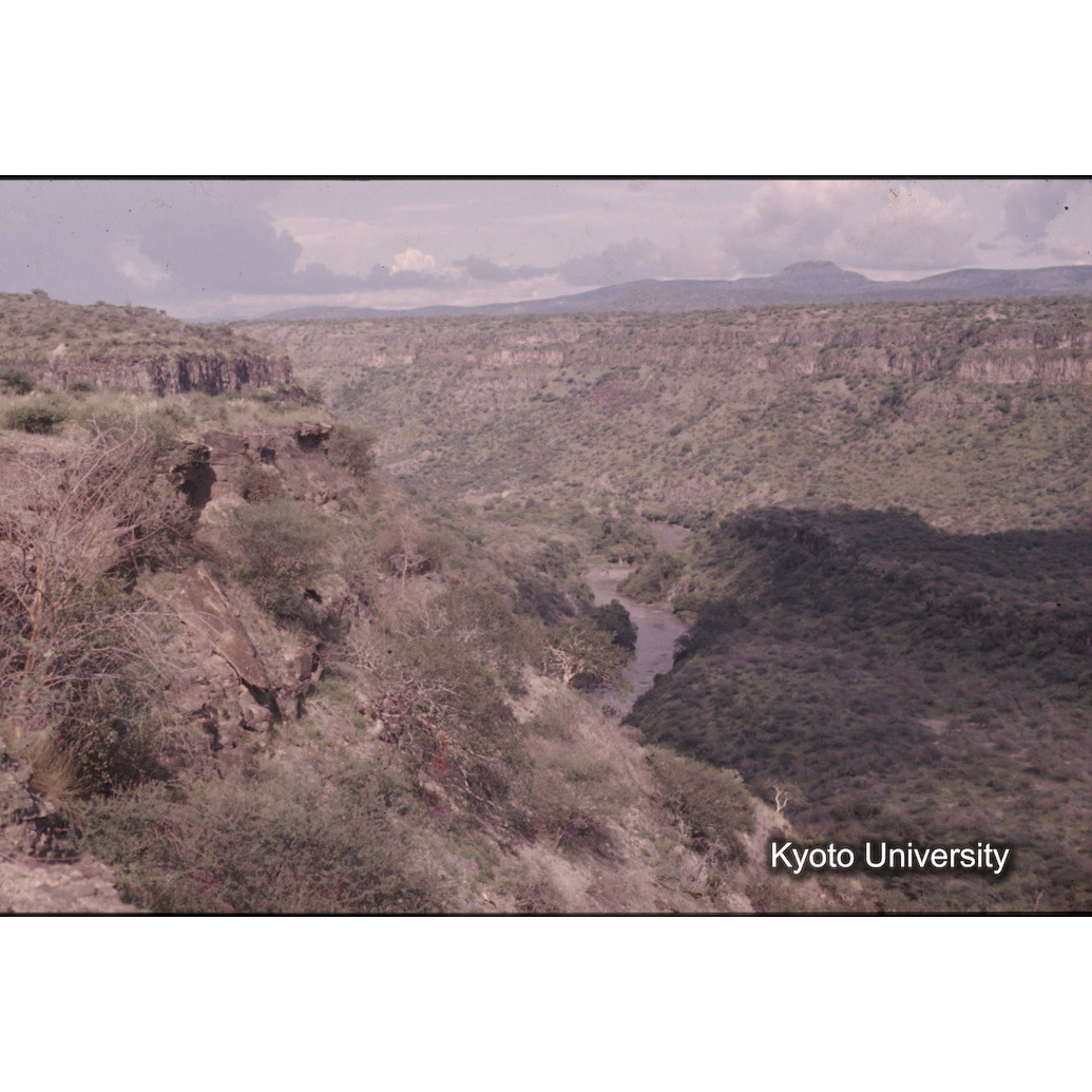 Sm　1973　R71　●[赤色シール] (1)