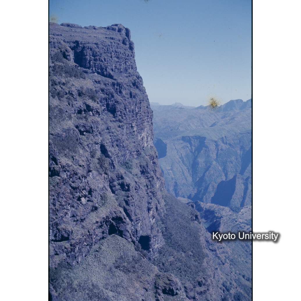 Sm　1973　R51　●[赤色シール] (1)