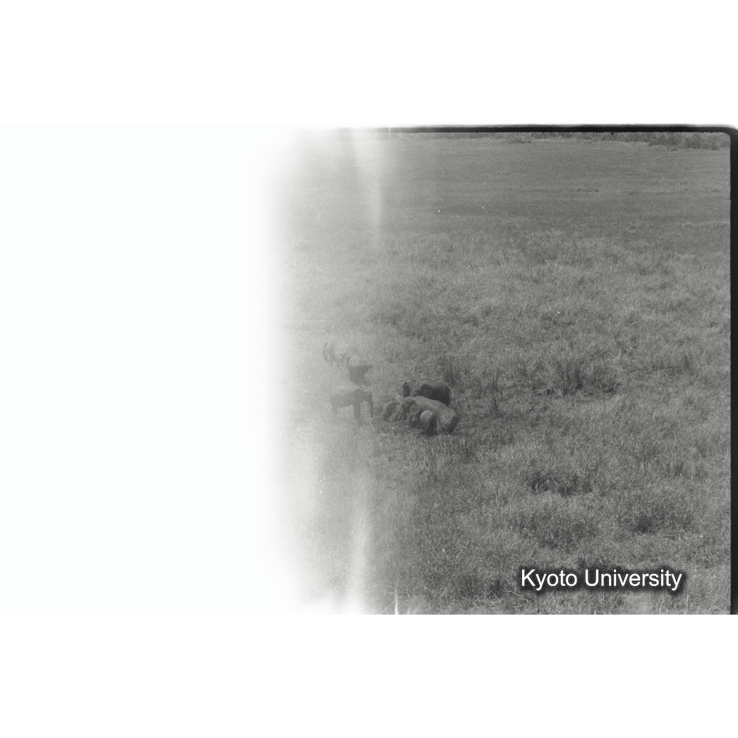 [33コマ目]「×」 (1)