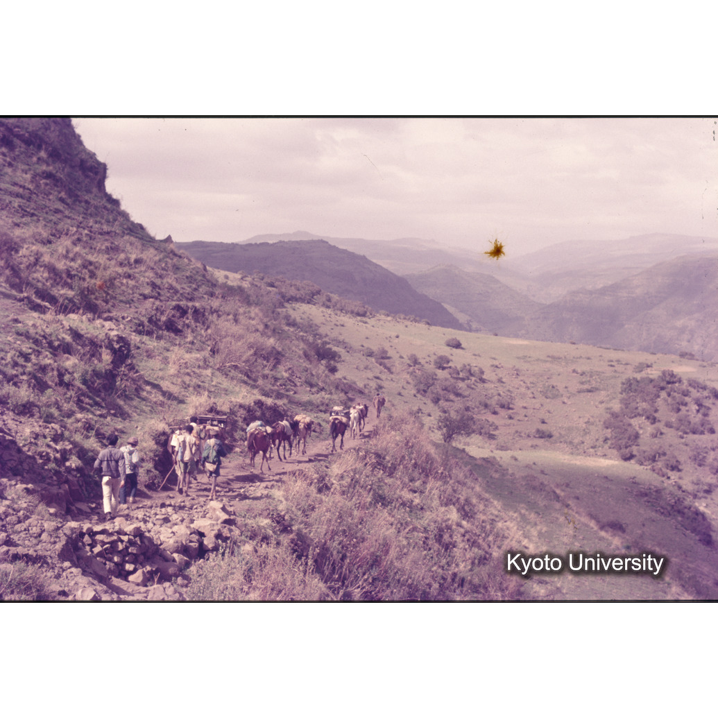 Sm　1973　1168 (1)